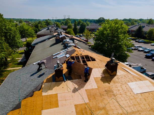 Best Metal Roofing Contractor  in Milledgeville, GA